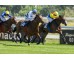  Carrera: P.Eduardo Olgado Caballo: Magic Warrior Monta: J.Gelabert